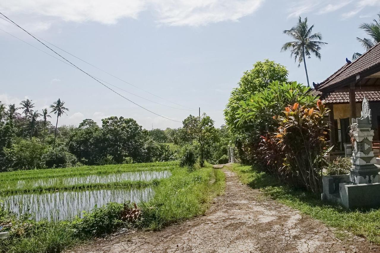 Mejan Home Stay Balian Exteriör bild